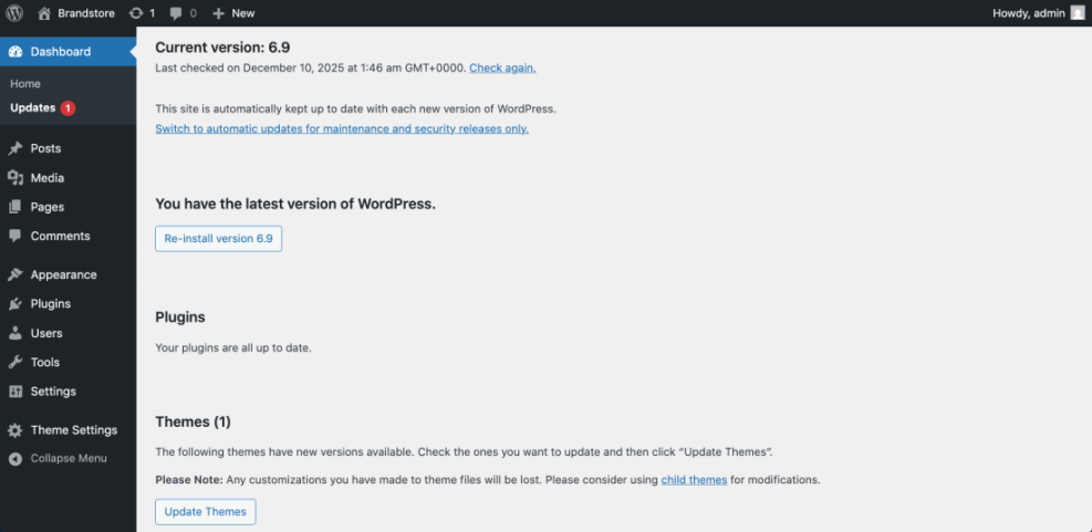 WordPress Updates dashboard illustrating current core version 6.9, up-to-date plugins, and a pending theme update, key for a secure WordPress website.