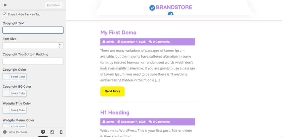 WordPress Customizer displaying footer settings to edit copyright text, font size, padding, and colors.