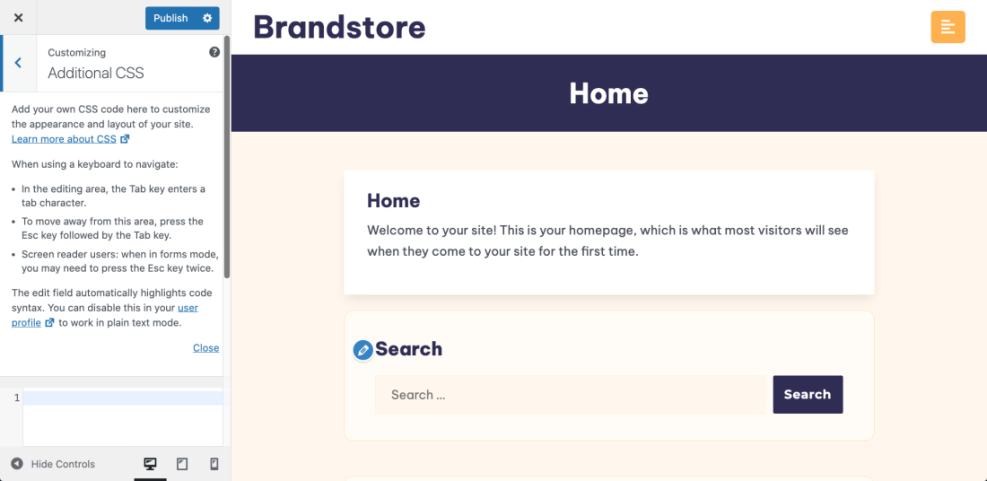 WordPress customizer showing the Additional CSS section for adding custom styles to your website design.