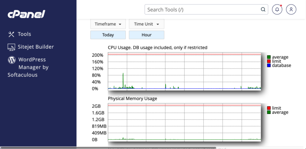 cPanel graphs showing CPU and physical memory usage metrics, demonstrating ample resources for managed WordPress hosting.