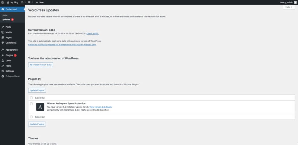 WordPress dashboard showing the Updates screen with current version 6.8.3 and a pending Akismet plugin update, essential for website maintenance services.