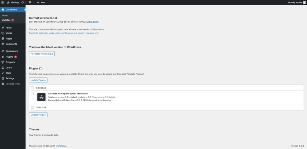 WordPress updates dashboard showing current core version 6.8.3 and an available Akismet plugin update (v5.5 to v5.6). Crucial for performance.