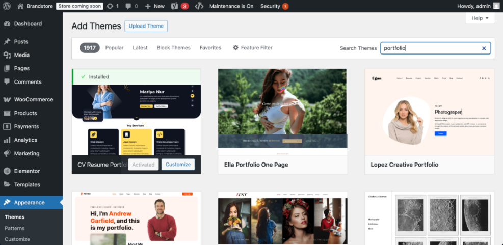 WordPress 'Add Themes' screen displaying available website themes, including portfolio designs, for building a site.