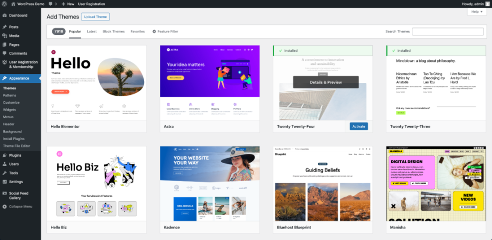WordPress 'Add Themes' dashboard displaying various theme options like Astra, Hello Elementor, and Twenty Twenty-Four, for website design.