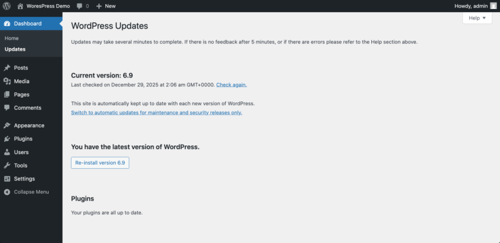 WordPress dashboard's Updates screen displaying current version 6.9 and confirming the latest WordPress installation.