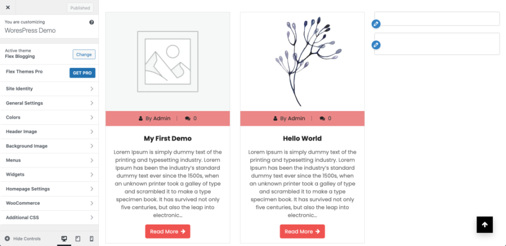 WordPress Customizer showing the 'Site Identity' menu, used for changing the favicon or site icon in WordPress.