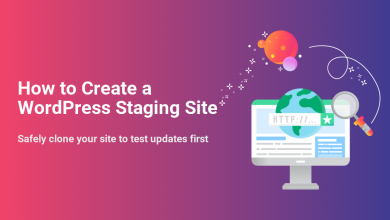 Illustration depicting the process of creating and testing a WordPress staging site, with a computer, globe, and magnifying glass.