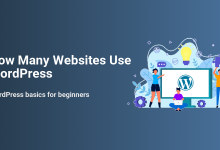 Illustration of people interacting with a computer displaying the WordPress logo, representing the global usage of WordPress for websites.