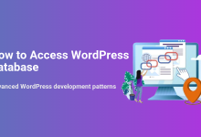 Illustration for 'How to Access WordPress Database' showing a user interacting with a computer displaying database information, links, and a data location pin.