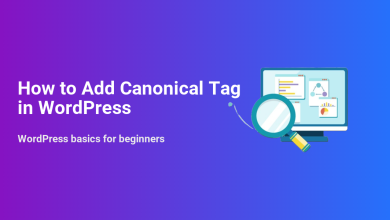 How to Add Canonical Tag in WordPress: an illustration with a magnifying glass examining SEO data on a computer screen for WordPress beginners.
