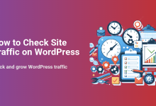 Illustration for 'How to Check Site Traffic on WordPress,' showing clocks, charts, checklists, and tools representing analytics and growth.