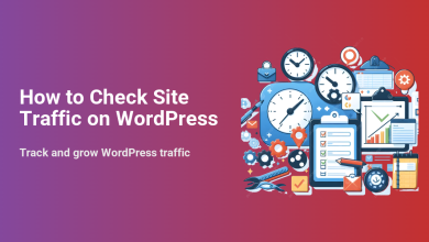 Illustration for 'How to Check Site Traffic on WordPress,' showing clocks, charts, checklists, and tools representing analytics and growth.