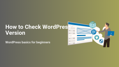 Man using a laptop to check a WordPress version on a screen with icons representing plugins, settings, and maintenance tools.