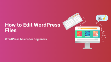 Illustration showing a keyboard, monitor displaying a website, and a padlock with key, symbolizing how to edit WordPress files safely.