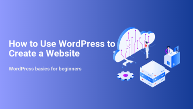 How to use WordPress to create a website, depicted with cloud infrastructure, servers, and developers, illustrating the process for beginners.
