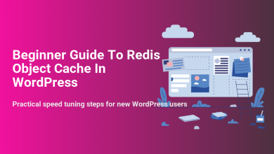 Illustration for a beginner's guide on Redis object cache in WordPress, with a website interface symbolizing performance optimization and speed.