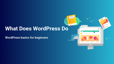 Illustration showing what WordPress does, featuring a website on a monitor, a book for learning, and a report, ideal for beginners.