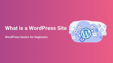 Illustration depicting 'What is a WordPress Site' with the WordPress logo inside a cloud, surrounded by icons for themes, plugins, e-commerce, social media, and site management, representing WordPress basics for beginners.
