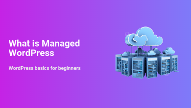 Illustration of server racks with cloud icons representing managed WordPress hosting. Text: What is Managed WordPress: WordPress basics for beginners.