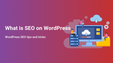 People optimizing WordPress SEO with servers, cloud storage, and digital data to improve search engine rankings.