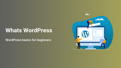 Illustration showing people building a website on a computer with the WordPress logo. Text asks 'Whats WordPress' and mentions 'WordPress basics for beginners'.
