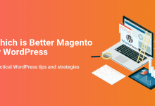Which is Better Magento or WordPress? An illustration showing WordPress development with tools, analytics, and optimization for website strategy.