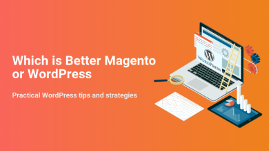 Which is Better Magento or WordPress? An illustration showing WordPress development with tools, analytics, and optimization for website strategy.
