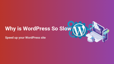 Why is WordPress so slow? Illustrated guide with WordPress logo, gears, and people optimizing site performance on laptops to speed up slow websites.