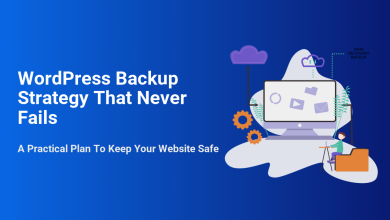 Illustration of a robust WordPress backup strategy, showing cloud data recovery, a computer, and a person managing website safety.