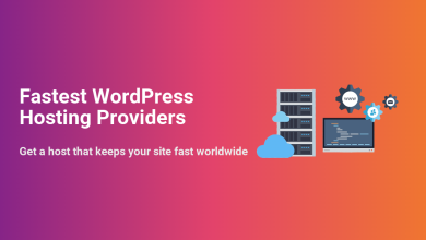 Servers, cloud, and web development icons illustrating the fastest WordPress hosting providers to keep your site fast worldwide.