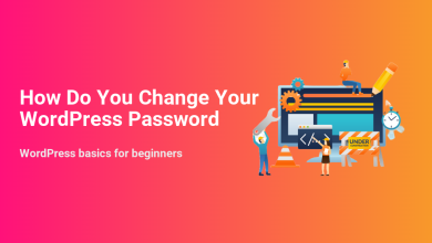 Illustration demonstrating how to change your WordPress password, with developers maintaining a website, gears, and an 'Under Construction' sign.