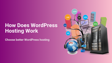 How WordPress hosting works, illustrated with servers, domain extensions (.com, .net, .edu), a laptop, and global support, demonstrating components for a fast WordPress site.