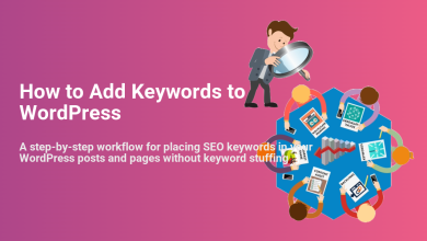 An SEO team planning to add keywords to WordPress posts and pages, focusing on keyword research, content audits, backlinks, and social media.