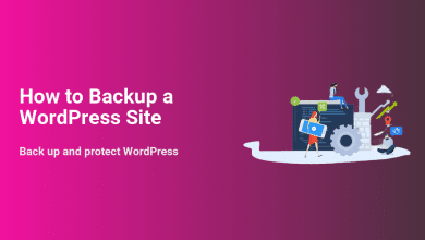 How to Backup a WordPress Site illustration with people, code, gear, and tools for data protection and maintenance.