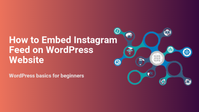 How to Embed Instagram Feed on WordPress Website title banner with tech integration icons for WordPress basics.