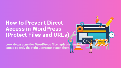 Illustration of developers securing a WordPress website, protecting files and URLs to prevent direct access and unauthorized entry.