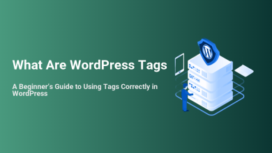 What Are WordPress Tags: Illustration showing a WordPress logo shield on server racks with a person managing them, representing secure content organization for SEO.