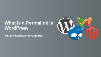 What is a Permalink in WordPress header image featuring the WordPress logo alongside Drupal, Joomla, and Magento logos, explaining CMS permalinks.