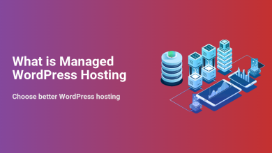 Isometric illustration of managed WordPress hosting infrastructure, featuring servers, databases, and mobile devices displaying data graphs.