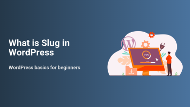 What is Slug in WordPress explained with an illustration showing a WordPress logo, gears, computer installation, and a user setting up.