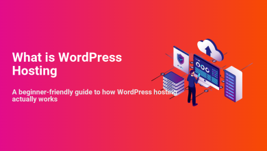 Isometric illustration of WordPress hosting infrastructure, showing servers, cloud storage, security, and a person managing the system.