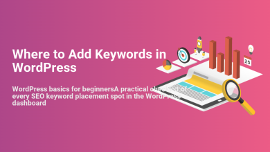Illustration of a tablet displaying website content, magnifying glass, bar charts, and SEO elements, explaining where to add keywords in WordPress.