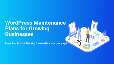 Illustration depicting two individuals overseeing WordPress maintenance plans for growing businesses, featuring elements for security, updates, analytics, and backups.