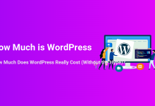 How Much is WordPress? Text and illustration of web developers surrounding a computer with the WordPress logo and code.