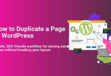 Illustration of a person using a laptop to duplicate a WordPress page, highlighting a safe, SEO-friendly workflow for cloning pages.