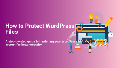 Illustrative guide to protecting WordPress files, with people working on website security, coding, and system hardening.