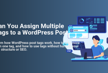 Developer managing WordPress posts and tags on a laptop, emphasizing how to assign multiple tags for better SEO.