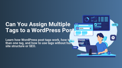 Developer managing WordPress posts and tags on a laptop, emphasizing how to assign multiple tags for better SEO.