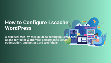Illustration showing a person optimizing WordPress with LiteSpeed Cache, managing servers for faster performance and better Core Web Vitals.