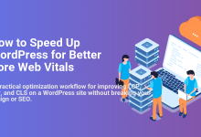 Developers optimizing WordPress site speed for Core Web Vitals, working with server infrastructure and cloud services to enhance performance.
